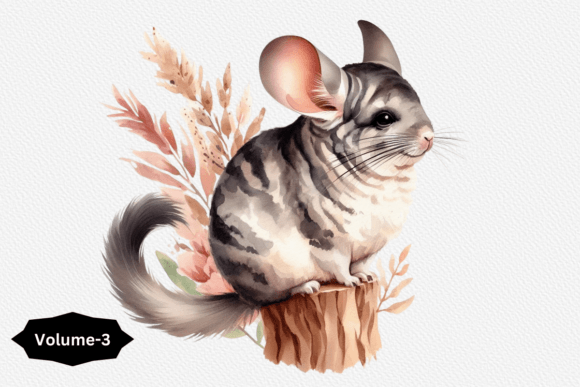 Charming Chinchilla Clipart: Versatile Watercolor Designs