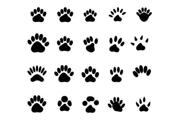 Silhouette Animal Claw: Unleashing a Fierce Brand Identity