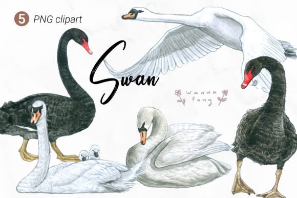 Swan Watercolor Animal Clipart: Elegant PNGs for Creative Projects